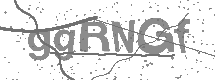 visual captcha